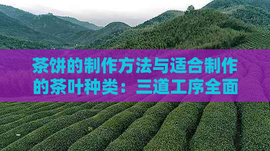 茶饼的制作方法与适合制作的茶叶种类：三道工序全面解析