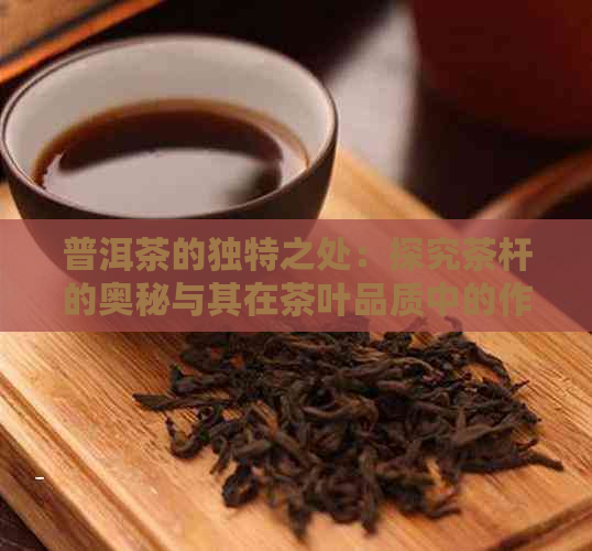 普洱茶的独特之处：探究茶杆的奥秘与其在茶叶品质中的作用