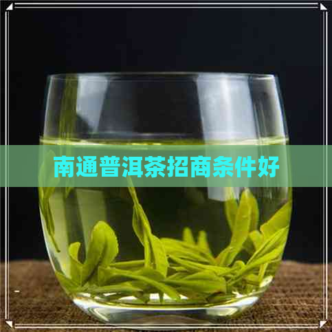 南通普洱茶招商条件好