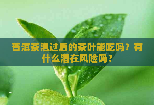 普洱茶泡过后的茶叶能吃吗？有什么潜在风险吗？