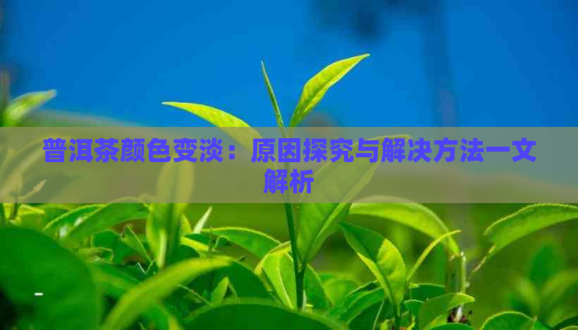 普洱茶颜色变淡：原因探究与解决方法一文解析