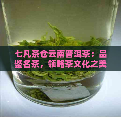 七凡茶仓云南普洱茶：品鉴名茶，领略茶文化之美