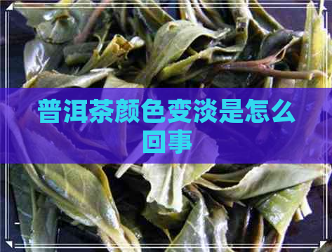 普洱茶颜色变淡是怎么回事