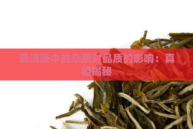 普洱茶中的杂质对品质的影响：真相揭秘