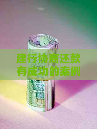 建行协商还款有成功的案例吗