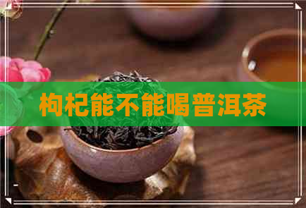 枸杞能不能喝普洱茶