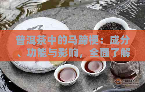 普洱茶中的马蹄梗：成分、功能与影响，全面了解其好处与潜在问题