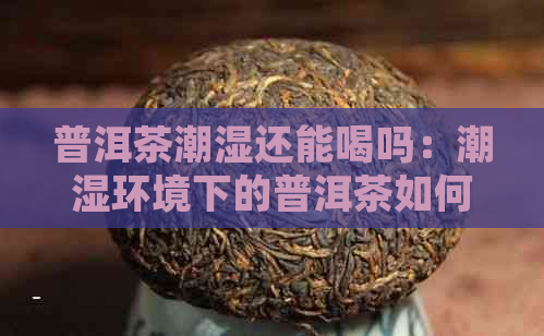 普洱茶潮湿还能喝吗：潮湿环境下的普洱茶如何处理，会有什么影响？