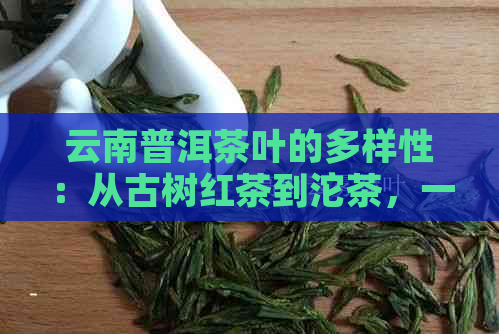 云南普洱茶叶的多样性：从古树红茶到沱茶，一次解读各类茶叶的特点与价值