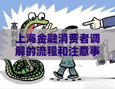 上海金融消费者调解的流程和注意事项