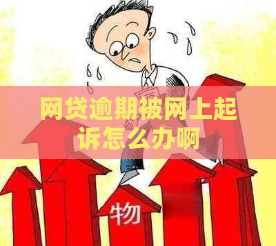 网贷逾期被网上起诉怎么办啊