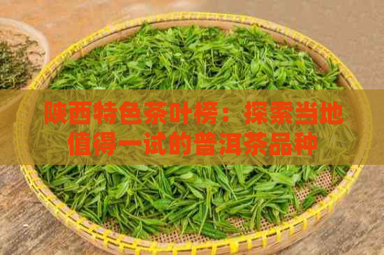 陕西特色茶叶榜：探索当地值得一试的普洱茶品种