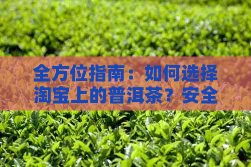 全方位指南：如何选择淘宝上的普洱茶？安全可靠的购买渠道和技巧