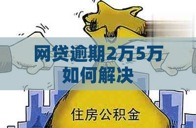 网贷逾期2万5万如何解决