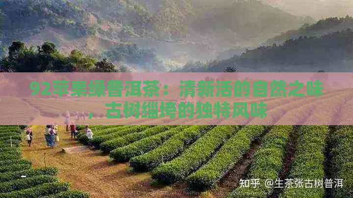 92苹果绿普洱茶：清新活的自然之味，古树缁垮的独特风味