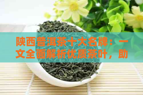 陕西普洱茶十大名牌：一文全面解析优质茶叶，助您轻松选购