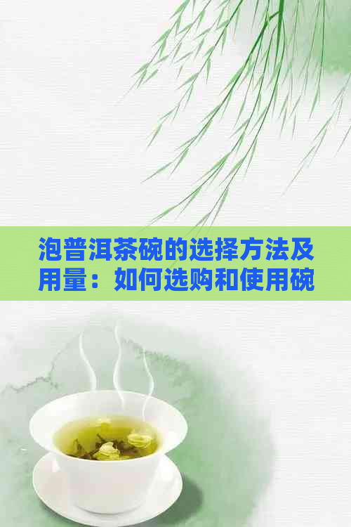 泡普洱茶碗的选择方法及用量：如何选购和使用碗泡普洱茶？