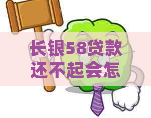 长银58贷款还不起会怎么样