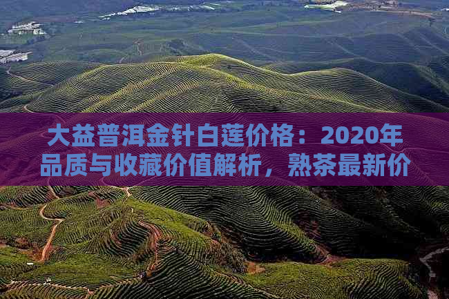 大益普洱金针白莲价格：2020年品质与收藏价值解析，熟茶最新价格一览