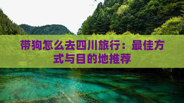 带狗怎么去四川旅行：更佳方式与目的地推荐