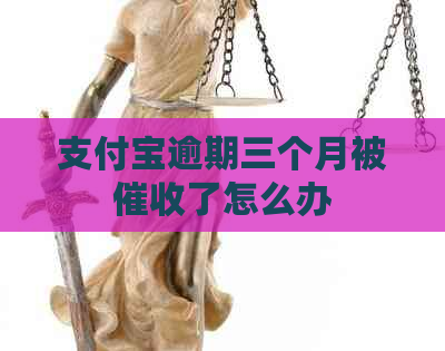 支付宝逾期三个月被了怎么办