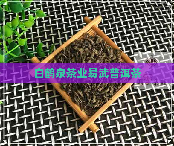 白鹤泉茶业易武普洱茶