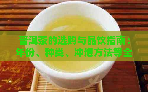 普洱茶的选购与品饮指南：年份、种类、冲泡方法等全面解析