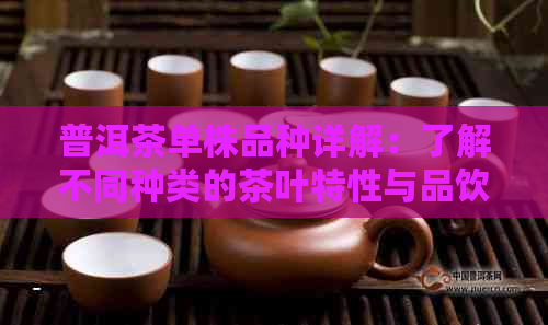 普洱茶单株品种详解：了解不同种类的茶叶特性与品饮方法