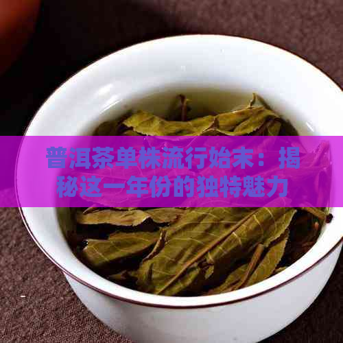 普洱茶单株流行始末：揭秘这一年份的独特魅力