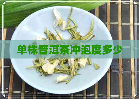 单株普洱茶冲泡度多少