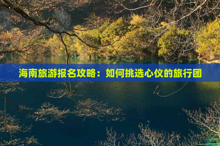 海南旅游报名攻略：如何挑选心仪的旅行团