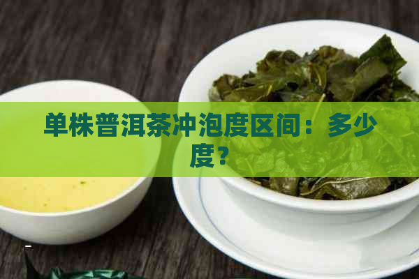 单株普洱茶冲泡度区间：多少度？