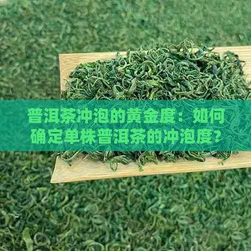 普洱茶冲泡的黄金度：如何确定单株普洱茶的冲泡度？