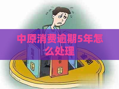 中原消费逾期5年怎么处理