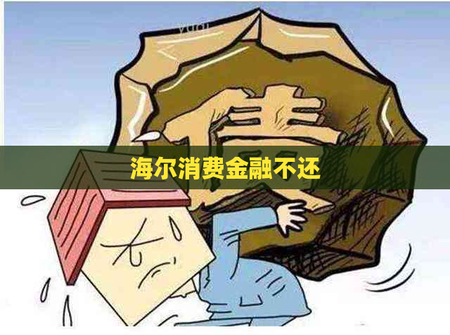 海尔消费金融不还