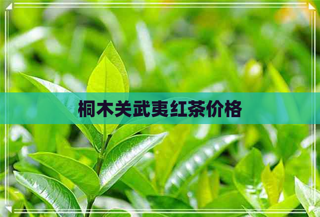 桐木关武夷红茶价格