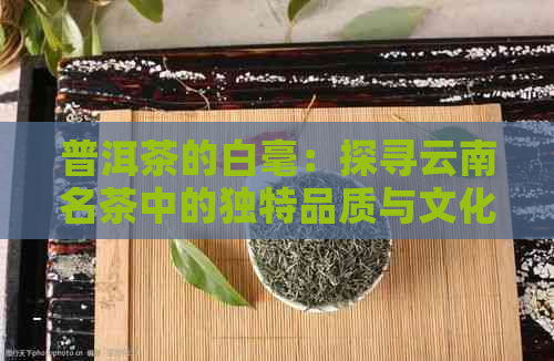 普洱茶的白毫：探寻云南名茶中的独特品质与文化内涵