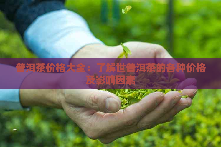 普洱茶价格大全：了解世普洱茶的各种价格及影响因素