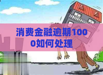 消费金融逾期1000如何处理