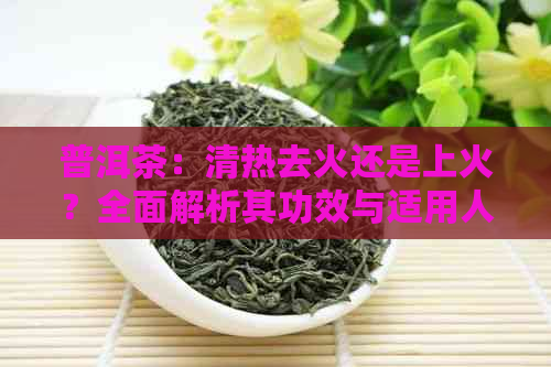 普洱茶：清热去火还是上火？全面解析其功效与适用人群