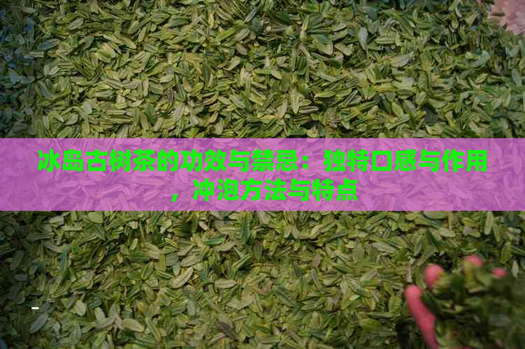 冰岛古树茶的功效与禁忌：独特口感与作用，冲泡方法与特点