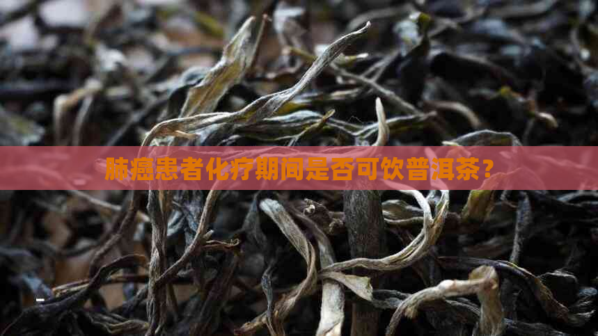 肺癌患者化疗期间是否可饮普洱茶？