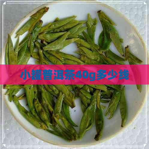 小罐普洱茶40g多少线