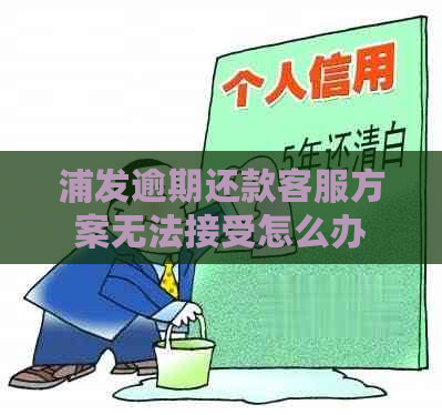 浦发逾期还款客服方案无法接受怎么办