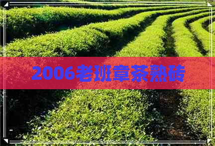 2006老班章茶熟砖