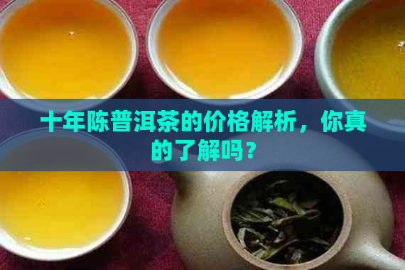 十年陈普洱茶的价格解析，你真的了解吗？