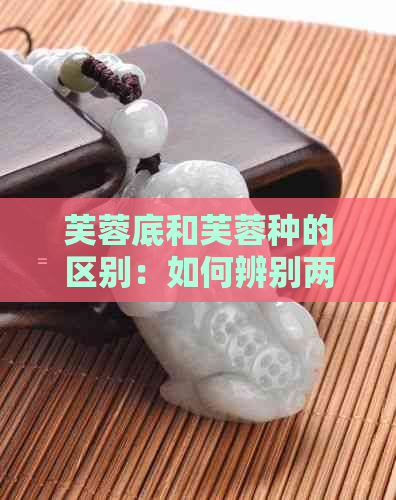 芙蓉底和芙蓉种的区别：如何辨别两者？