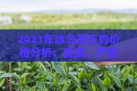 2021年冰岛茶王的价格分析：品质、产地与市场趋势