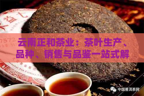 云南正和茶业：茶叶生产、品种、销售与品鉴一站式解决方案