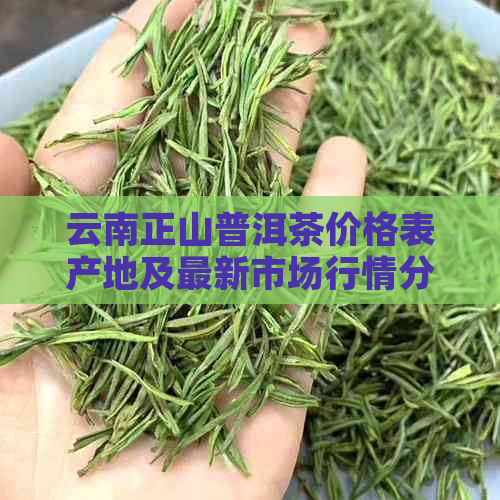 云南正山普洱茶价格表产地及最新市场行情分析